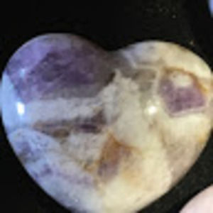 Meet your Posher, Zoey